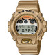 CASIO G-SHOCK DW-6900GDA-9