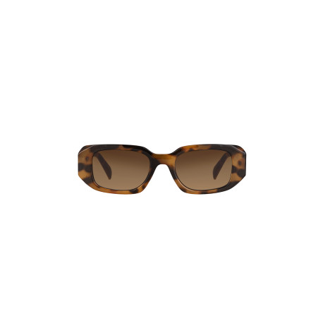 DK4319-5