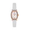 Daniel Klein DK13943-5