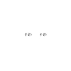 DKJ.5.30008.L-1