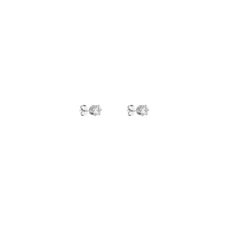 DKJ.5.30008.L-1