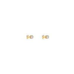 DKJ.5.30008.L-2