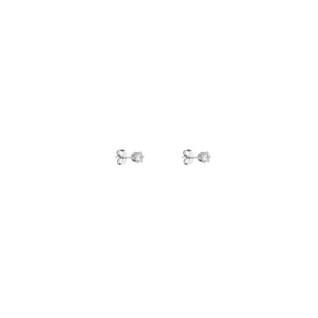 DKJ.5.30008.S-1