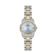 Daniel Klein DK14187-5