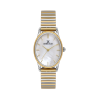 Daniel Klein DK14296-5