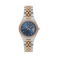 Daniel Klein DK14304-6