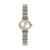 Daniel Klein DK14380-5