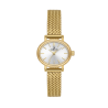 Daniel Klein DK14381-2