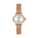 Daniel Klein DK14381-6