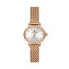Daniel Klein DK14381-6