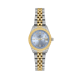 Daniel Klein DK14319-5