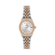 Daniel Klein DK14319-6