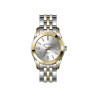 Michael Fellini 2462-6