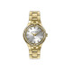 Michael Fellini 2466-4