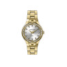 Michael Fellini 2466-4