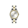 Michael Fellini 2471-6