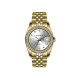 Michael Fellini 2497-4