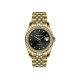 Michael Fellini 2497-6