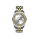 Michael Fellini 2497-7
