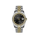 Michael Fellini 2497-8