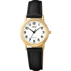 Q&Q C40A-010PY
