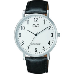 Q&Q C43A-001PY